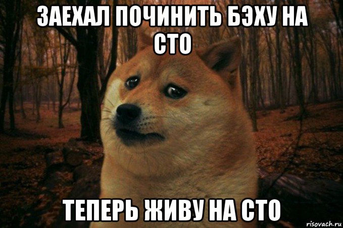 заехал починить бэху на сто теперь живу на сто, Мем SAD DOGE