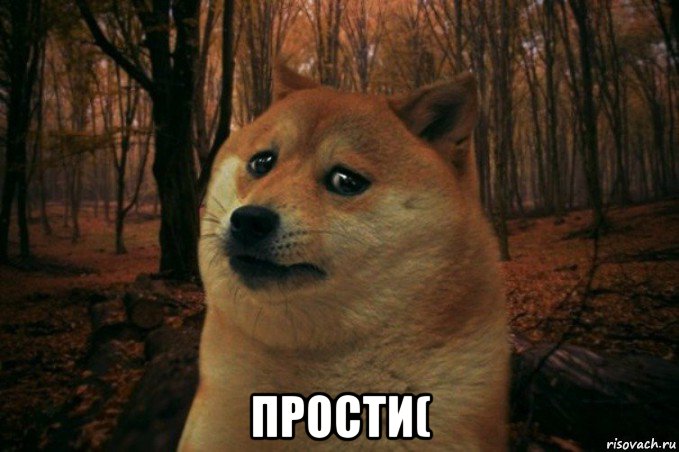  прости(, Мем SAD DOGE