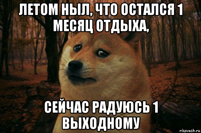 летом ныл, что остался 1 месяц отдыха, сейчас радуюсь 1 выходному, Мем SAD DOGE