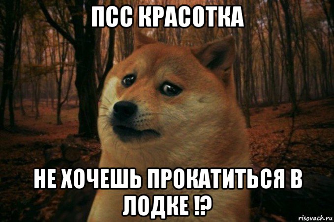 псс красотка не хочешь прокатиться в лодке !?, Мем SAD DOGE