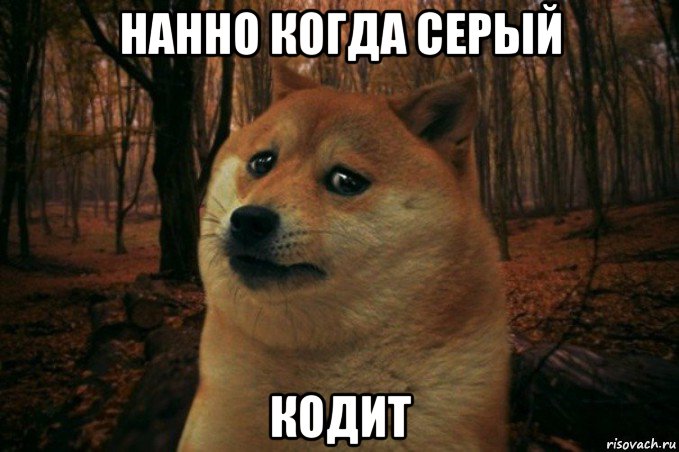 нанно когда серый кодит, Мем SAD DOGE