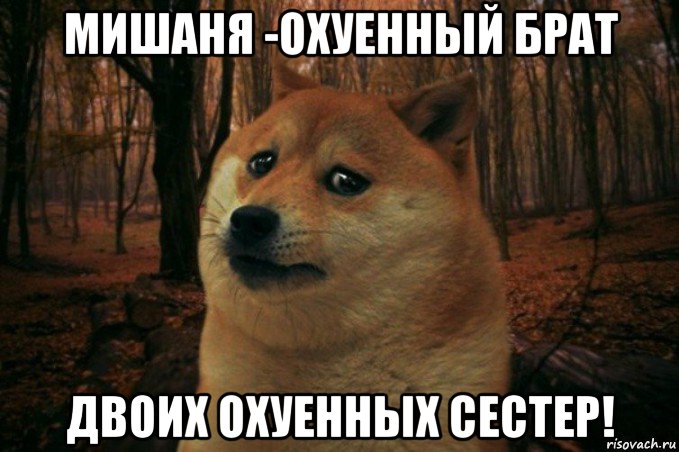 мишаня -охуенный брат двоих охуенных сестер!, Мем SAD DOGE