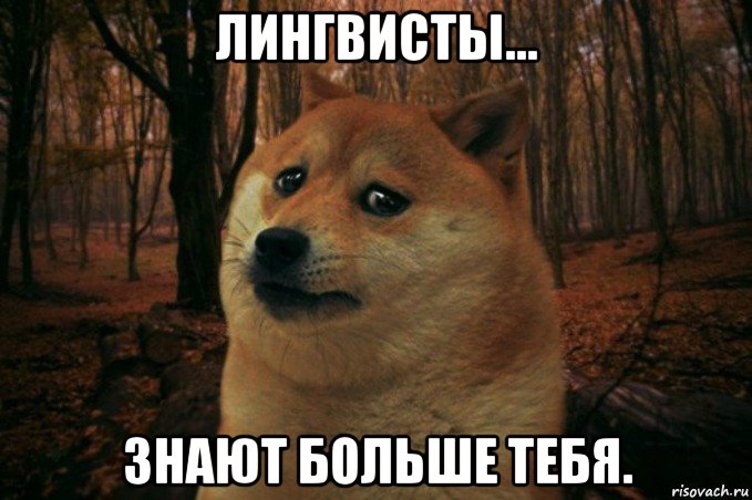 лингвисты... знают больше тебя., Мем SAD DOGE