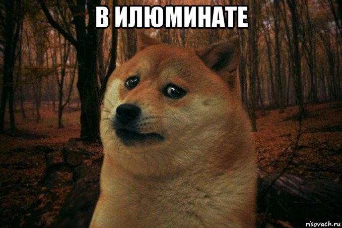 в илюминате , Мем SAD DOGE