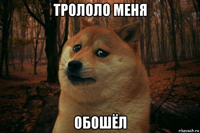 трололо меня обошёл, Мем SAD DOGE