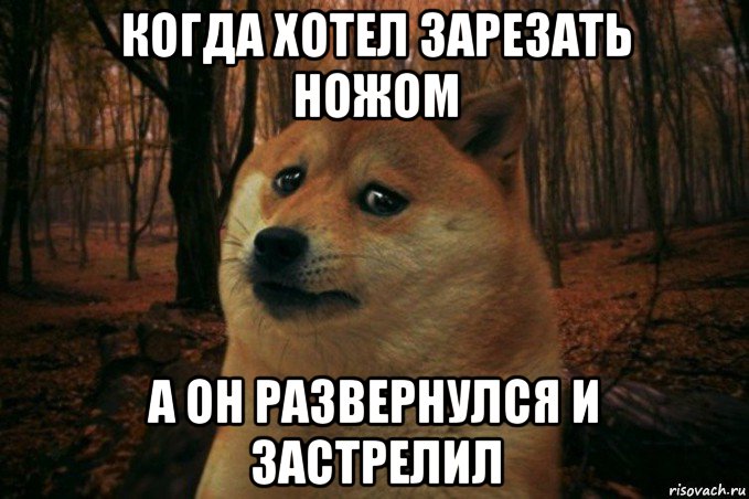 когда хотел зарезать ножом а он развернулся и застрелил, Мем SAD DOGE