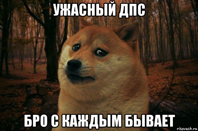 ужасный дпс бро с каждым бывает, Мем SAD DOGE