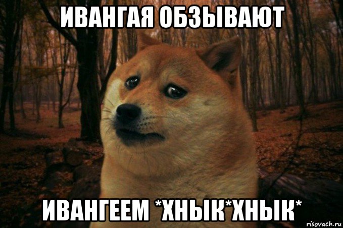 ивангая обзывают ивангеем *хнык*хнык*, Мем SAD DOGE