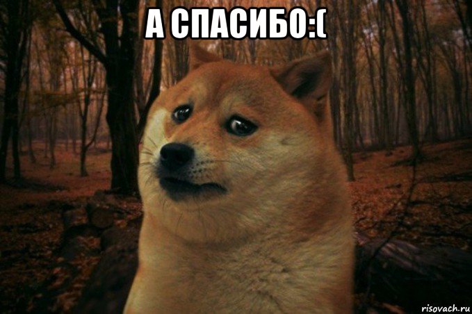 а спасибо:( , Мем SAD DOGE