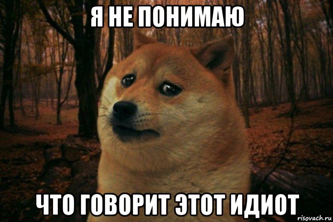 я не понимаю что говорит этот идиот, Мем SAD DOGE