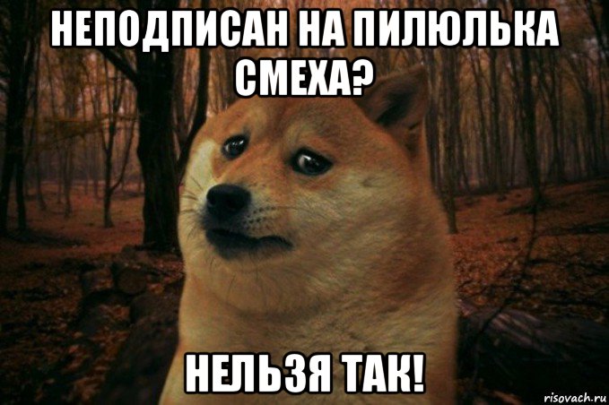 неподписан на пилюлька смеха? нельзя так!, Мем SAD DOGE