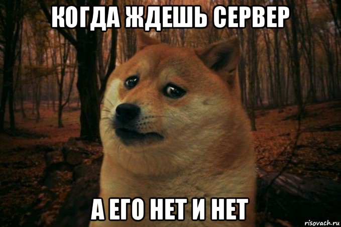 когда ждешь сервер а его нет и нет, Мем SAD DOGE