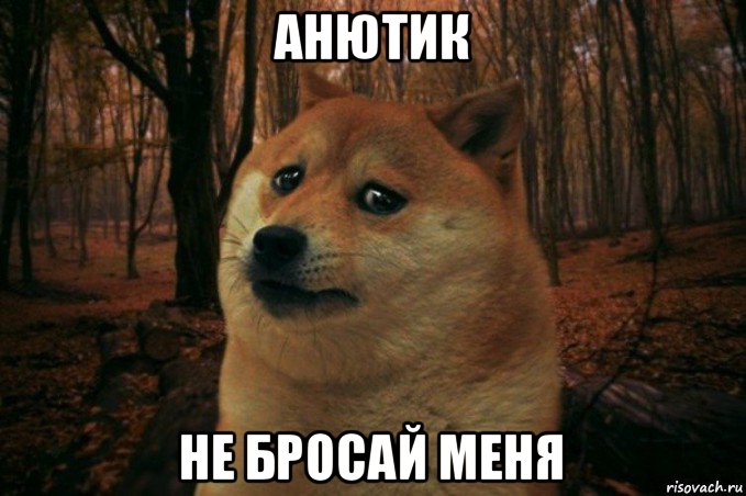 анютик не бросай меня, Мем SAD DOGE