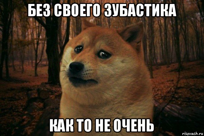 без своего зубастика как то не очень, Мем SAD DOGE