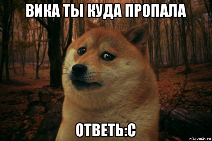 вика ты куда пропала ответь:с, Мем SAD DOGE