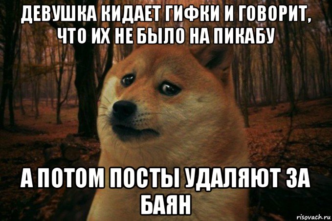 девушка кидает гифки и говорит, что их не было на пикабу а потом посты удаляют за баян, Мем SAD DOGE