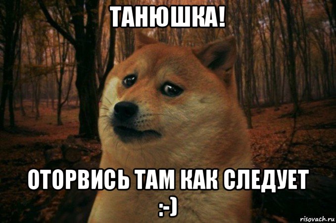 танюшка! оторвись там как следует :-), Мем SAD DOGE