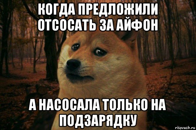 когда предложили отсосать за айфон а насосала только на подзарядку, Мем SAD DOGE