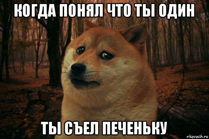 когда понял что ты один ты съел печеньку, Мем SAD DOGE