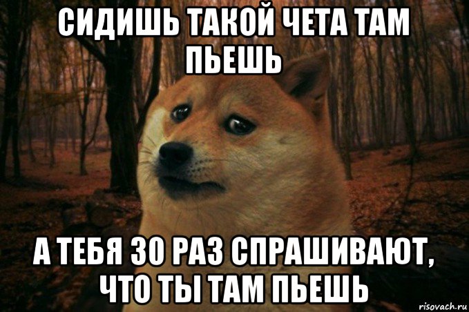 сидишь такой чета там пьешь а тебя 30 раз спрашивают, что ты там пьешь, Мем SAD DOGE