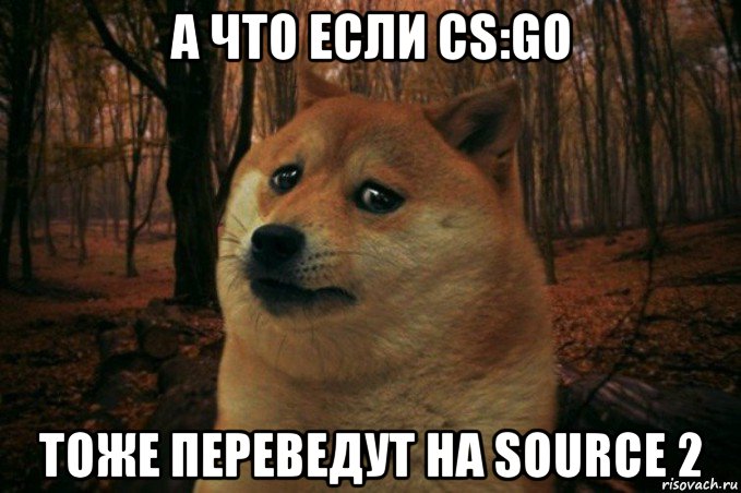 а что если cs:go тоже переведут на source 2, Мем SAD DOGE