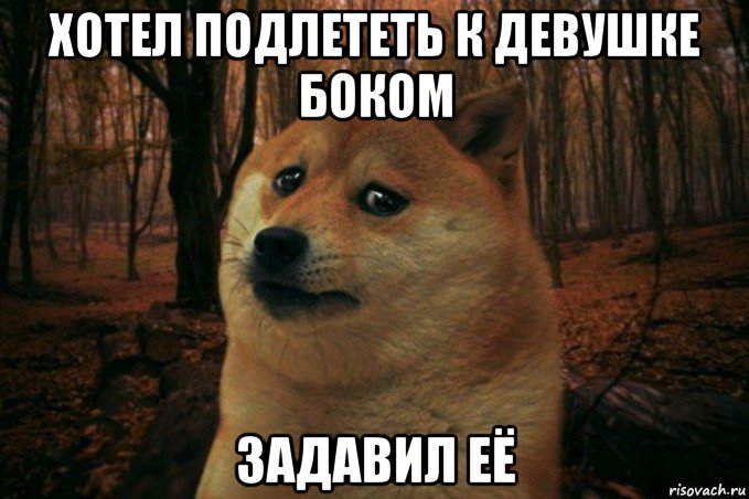 хотел подлететь к девушке боком задавил её, Мем SAD DOGE