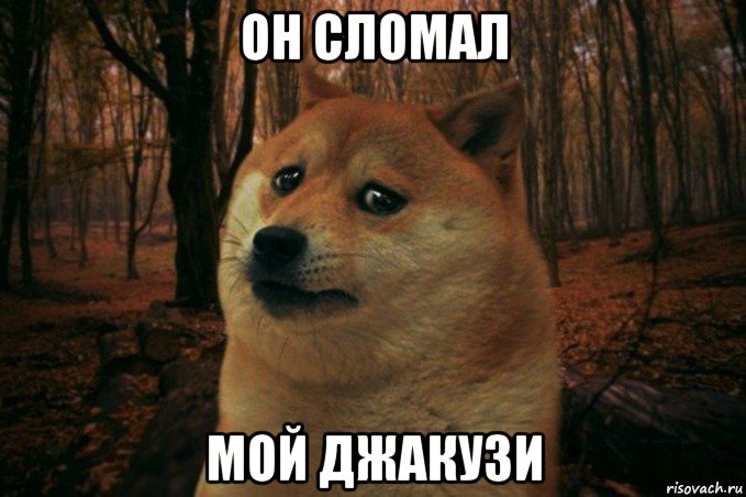 он сломал мой джакузи, Мем SAD DOGE