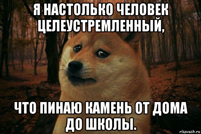 я настолько человек целеустремленный, что пинаю камень от дома до школы., Мем SAD DOGE