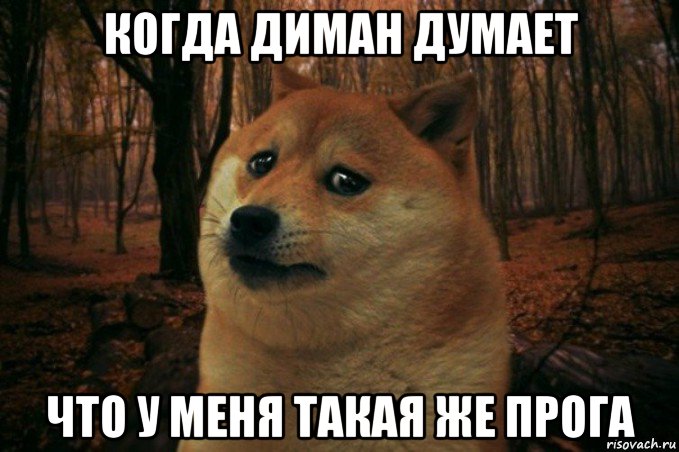 когда диман думает что у меня такая же прога, Мем SAD DOGE