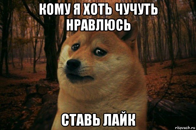 кому я хоть чучуть нравлюсь ставь лайк, Мем SAD DOGE