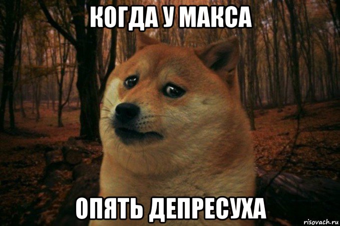 когда у макса опять депресуха, Мем SAD DOGE