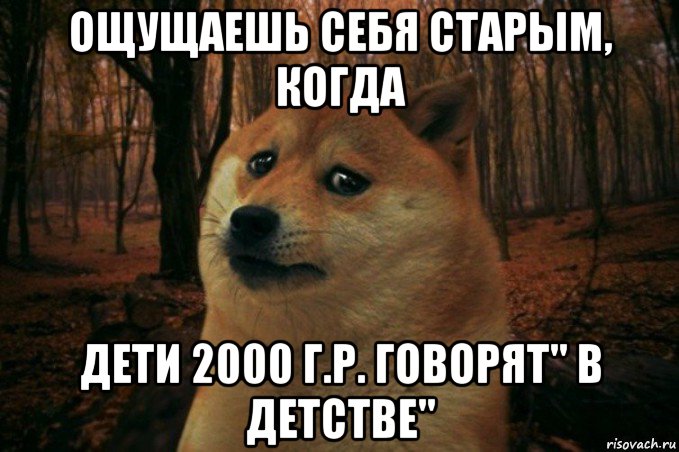 ощущаешь себя старым, когда дети 2000 г.р. говорят" в детстве", Мем SAD DOGE