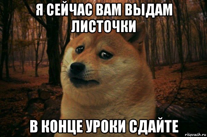 я сейчас вам выдам листочки в конце уроки сдайте, Мем SAD DOGE