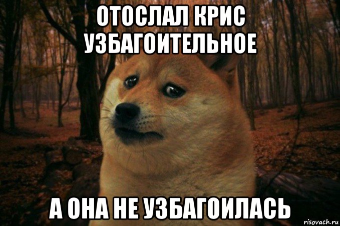 отослал крис узбагоительное а она не узбагоилась, Мем SAD DOGE