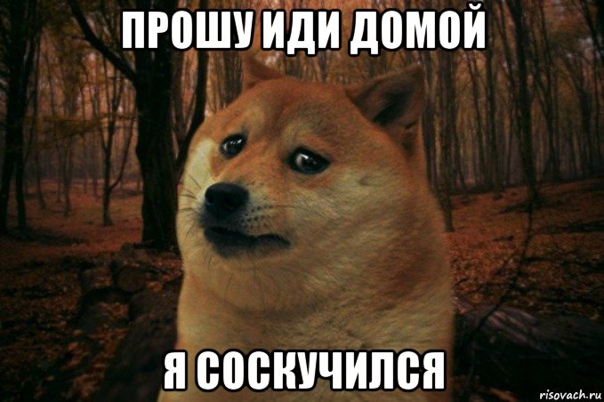 прошу иди домой я соскучился, Мем SAD DOGE