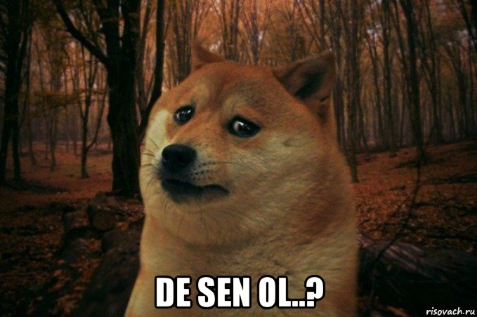  de sen ol..?, Мем SAD DOGE