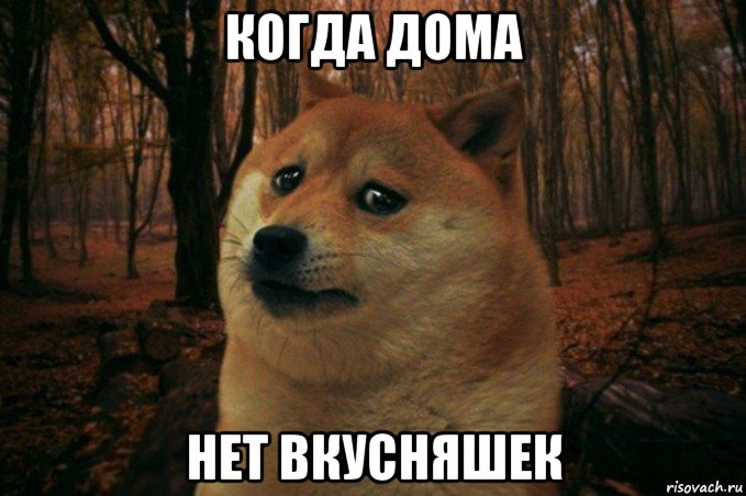 когда дома нет вкусняшек, Мем SAD DOGE