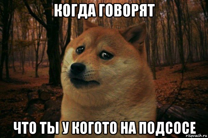 когда говорят что ты у когото на подсосе, Мем SAD DOGE