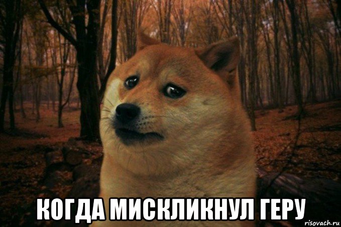  когда мискликнул геру, Мем SAD DOGE