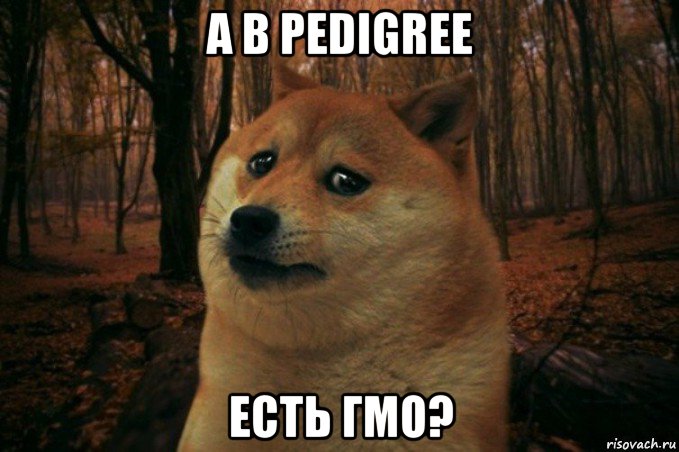 а в pedigree есть гмо?, Мем SAD DOGE