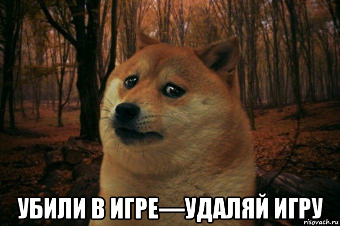  убили в игре—удаляй игру, Мем SAD DOGE