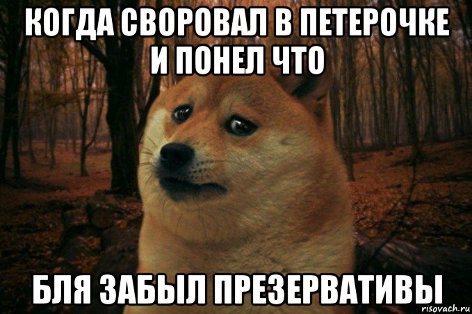 когда своровал в петерочке и понел что бля забыл презервативы, Мем SAD DOGE