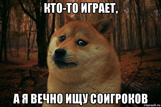 кто-то играет, а я вечно ищу соигроков, Мем SAD DOGE