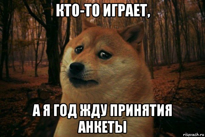 кто-то играет, а я год жду принятия анкеты, Мем SAD DOGE