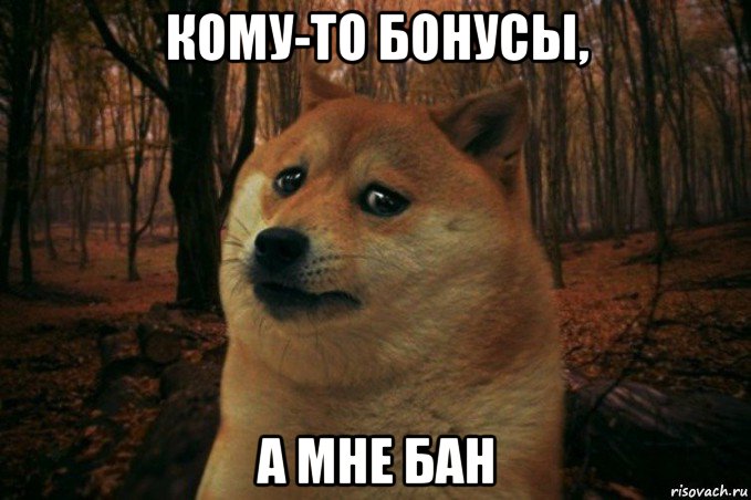 кому-то бонусы, а мне бан, Мем SAD DOGE