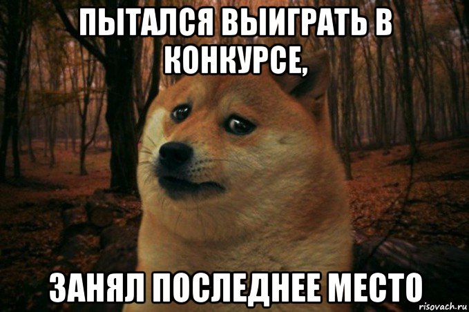 пытался выиграть в конкурсе, занял последнее место, Мем SAD DOGE