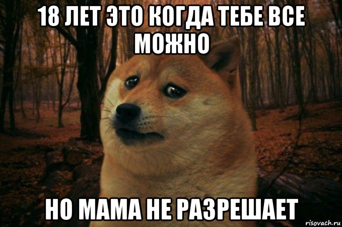 18 лет это когда тебе все можно но мама не разрешает, Мем SAD DOGE