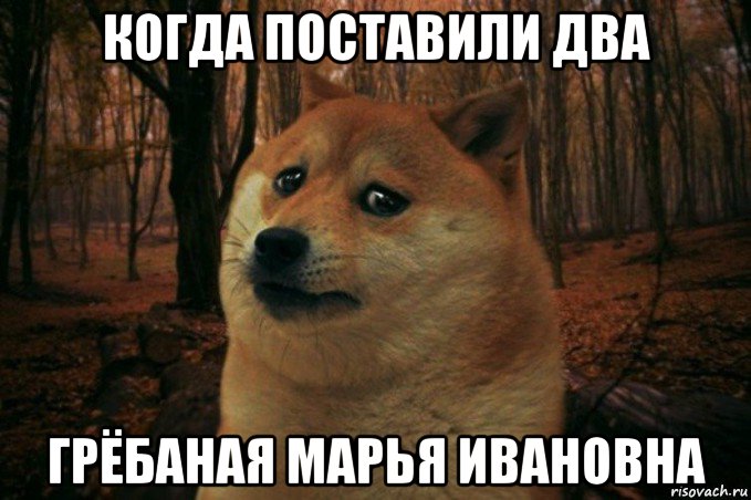 когда поставили два грёбаная марья ивановна, Мем SAD DOGE