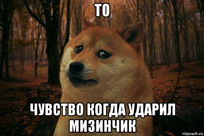 то чувство когда ударил мизинчик, Мем SAD DOGE