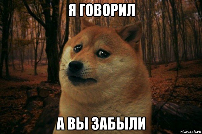 я говорил а вы забыли, Мем SAD DOGE